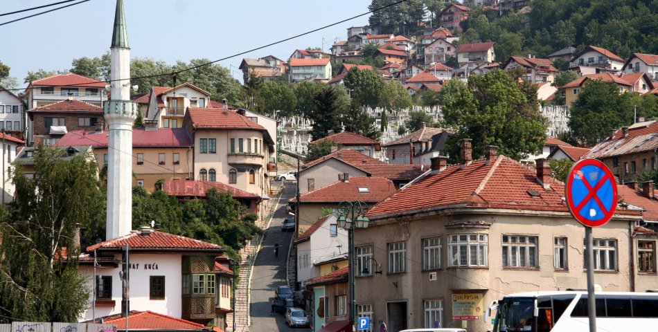 Source Fabric: Sarajevo summer